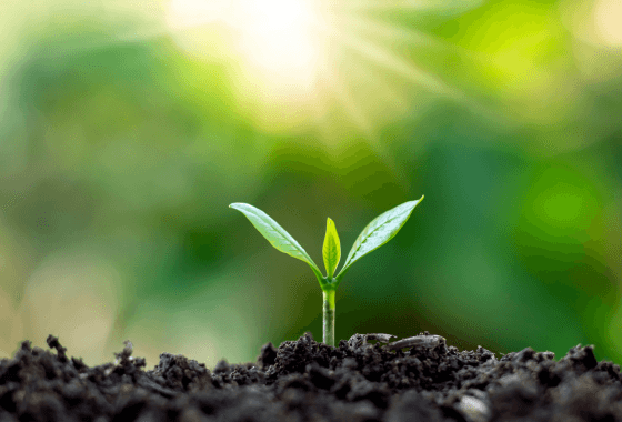 RFS International - Careers